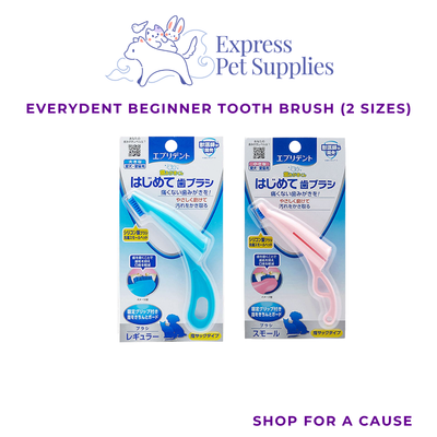 Everydent Beginner Tooth Brush (Regular & Small size)