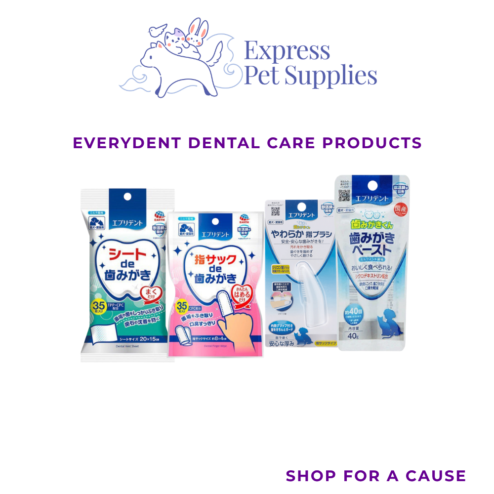 Everydent Dental Care Products