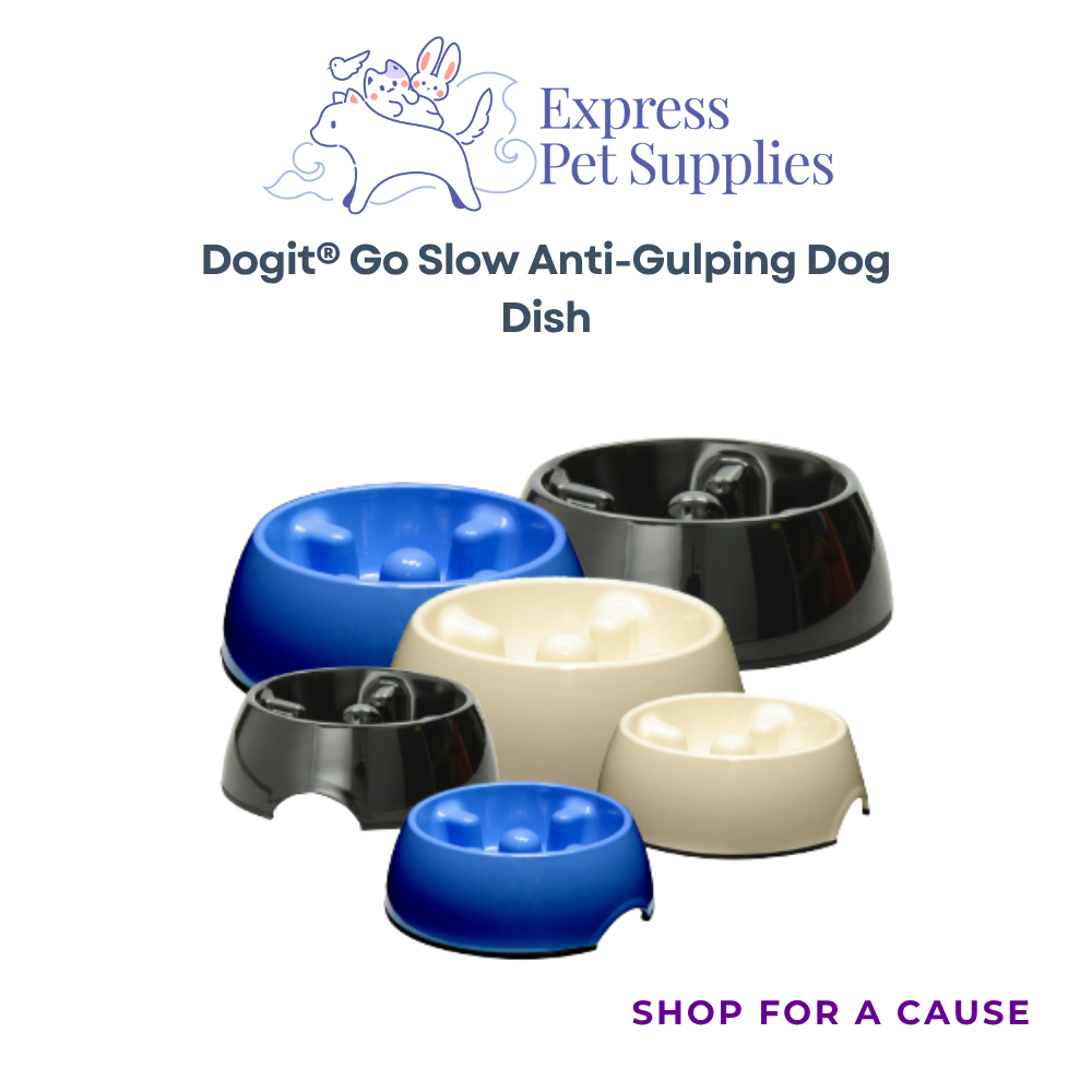 Dogit® Go Slow Anti-Gulping Dog Dish (XS, S, M & L)