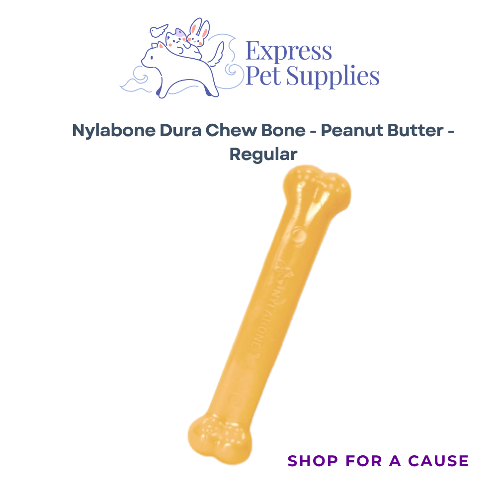 nylabone dura chew bone- Dog Treat - Peanut Butter - Regular