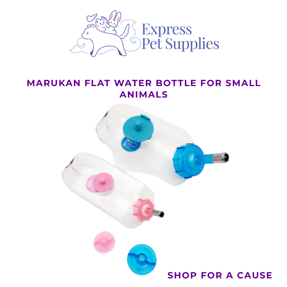 Marukan Flat Water Bottle for Small Animal (rabbit, Hamsters and other small animals)