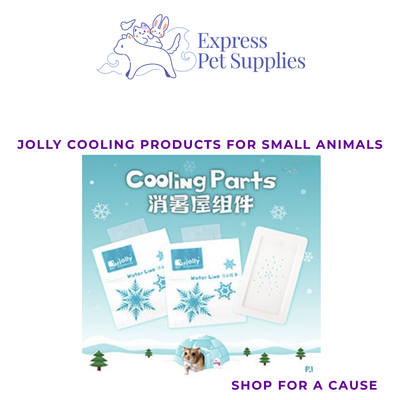 Jolly Cooling Products for Small Animals