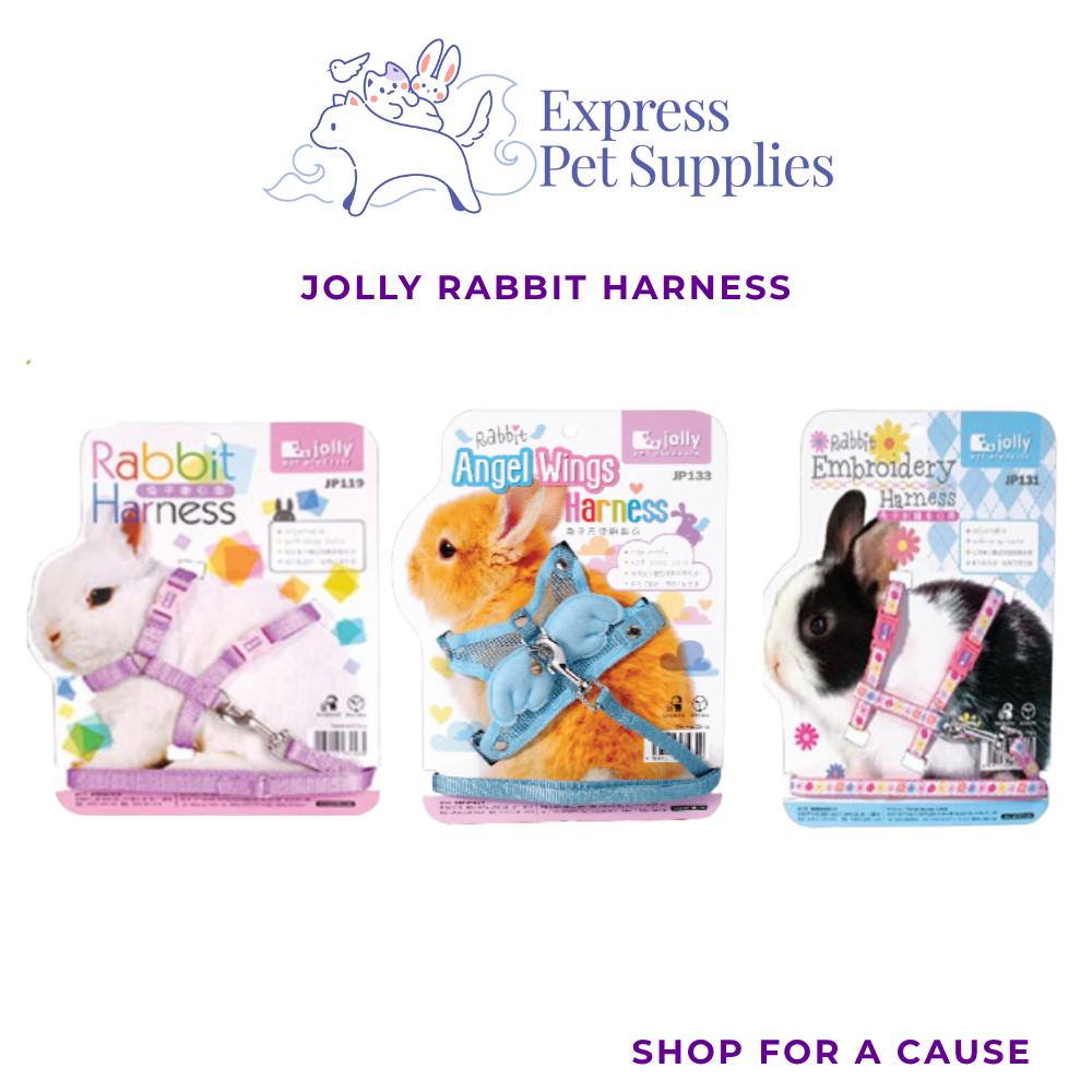 Jolly Small Animals  Harness