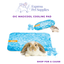 OIC Magicool Cooling Pad
