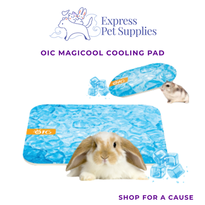 OIC Magicool Cooling Pad