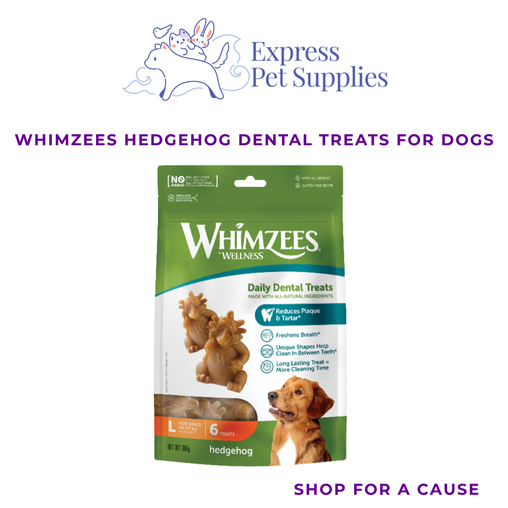 Whimzees Hedgehog Dental Treats for Dogs - Large