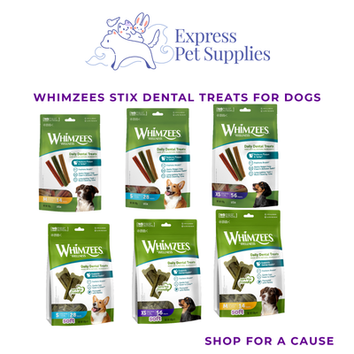 Whimzees Dental Treats for Dogs