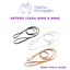 ARTERO Dog Walking Leash (6mm & 9mm)