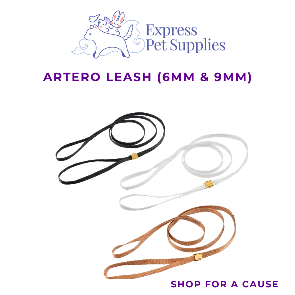 ARTERO Dog Walking Leash (6mm & 9mm)