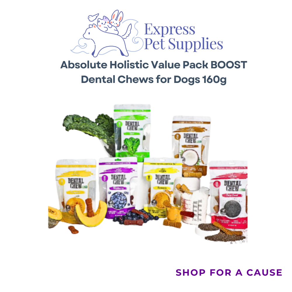 Absolute Holistic Value Pack BOOST Dental Chews for Dogs 160g