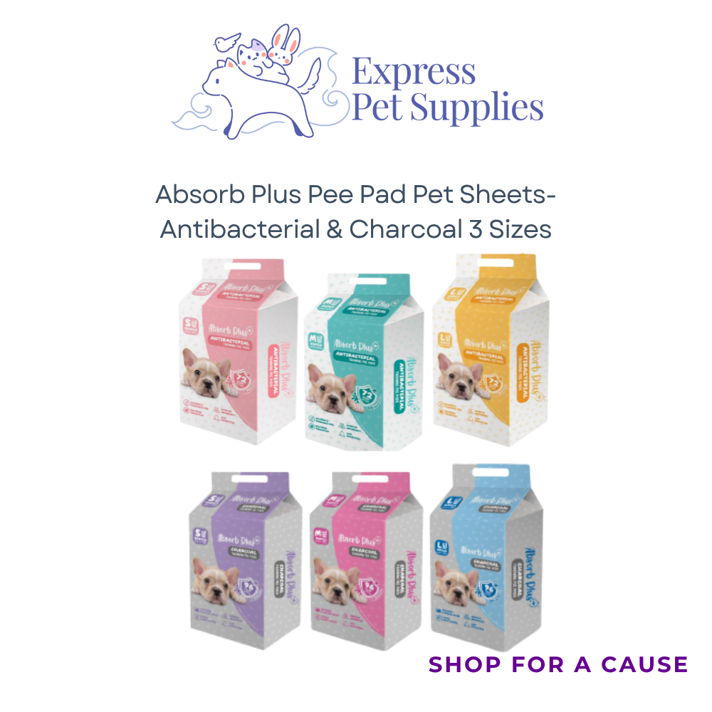 Absorb Plus Pee Pad Pet 100 Sheets | Antibacterial & Charcoal - (Small,Medium & Large)