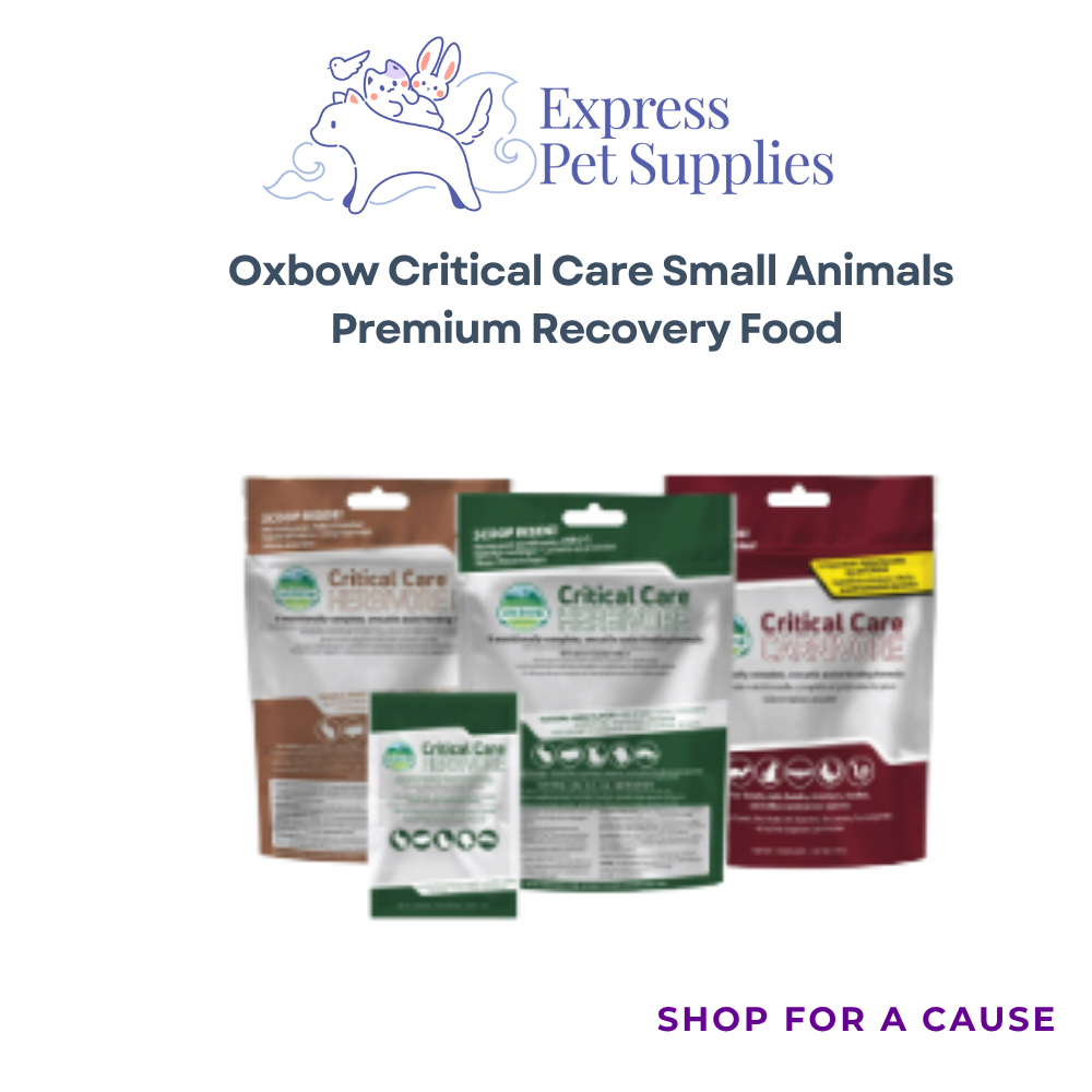 Oxbow Critical Care Small Animals Premium Recovery Food