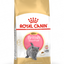 Royal Canin British Shorthair Kitten Cat Dry Food 400g