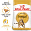 Royal Canin Feline Breed Nutrition Adult Bengal Cat Dry Food 2kg
