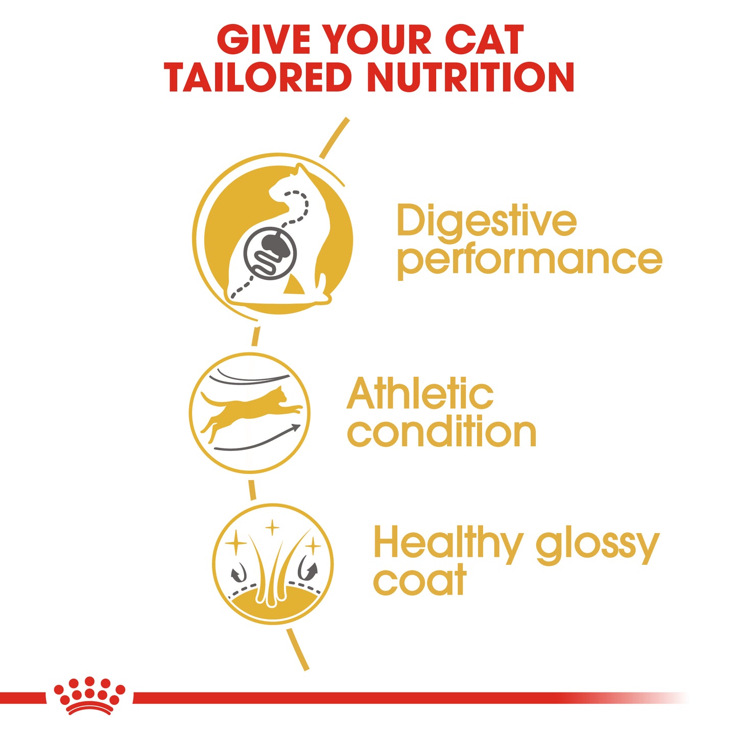 Royal Canin Feline Breed Nutrition Adult Bengal Cat Dry Food 2kg