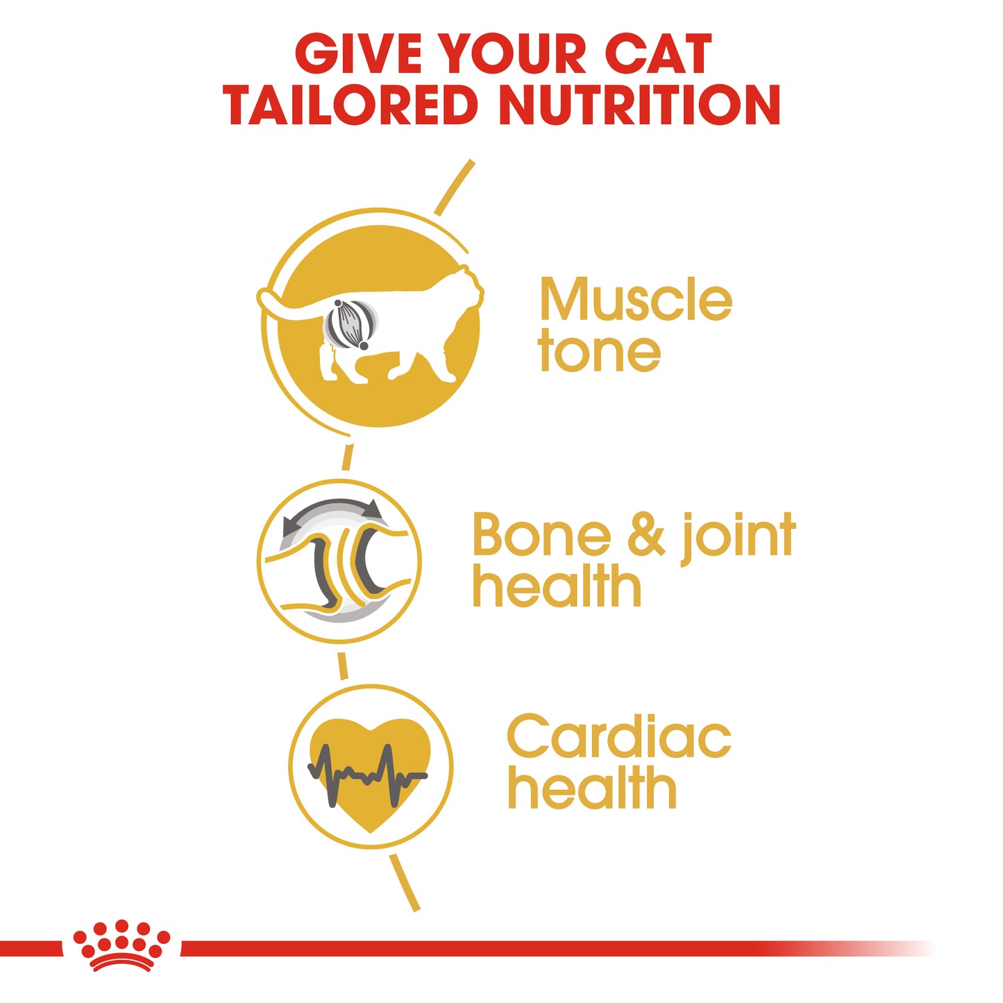 Royal Canin Feline Nutrition British Shorthair Adult Dry Cat Food 4kg