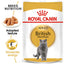 Royal Canin British Shorthair Adult Pouch Cat Food 85g x 12