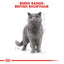 Royal Canin British Shorthair Adult Pouch Cat Food 85g x 12