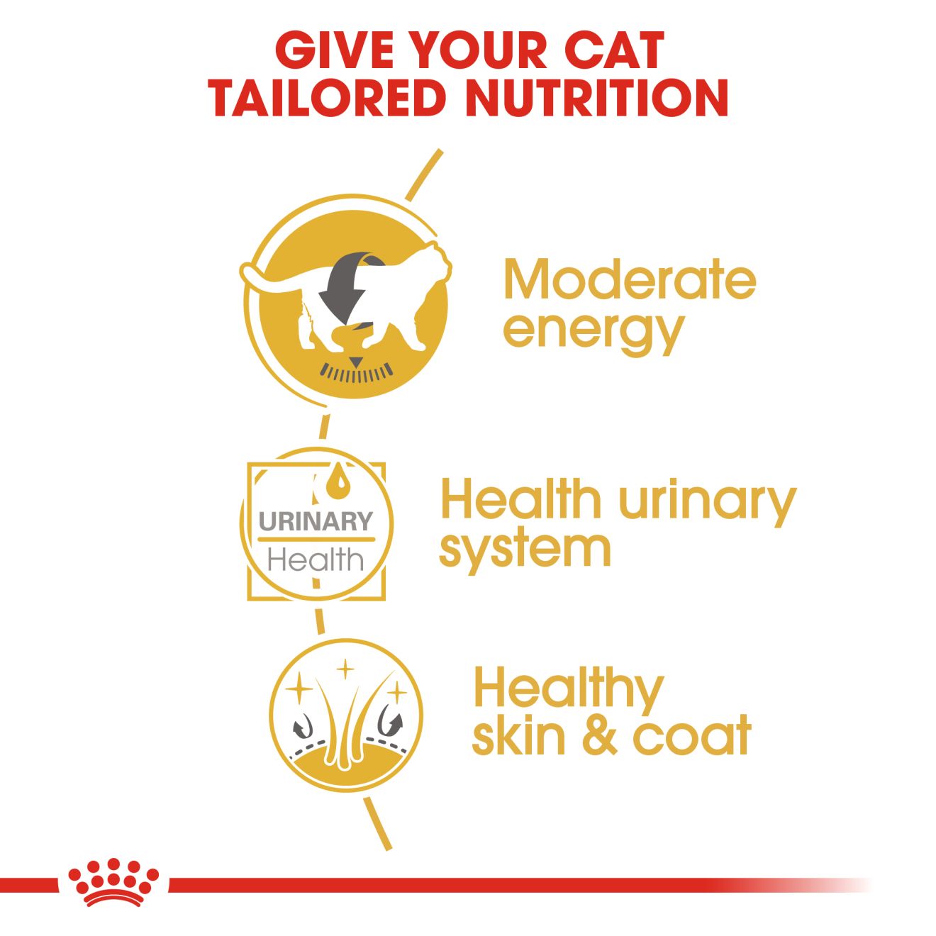 Royal Canin British Shorthair Adult Pouch Cat Food 85g x 12