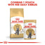 Royal Canin British Shorthair Adult Pouch Cat Food 85g x 12