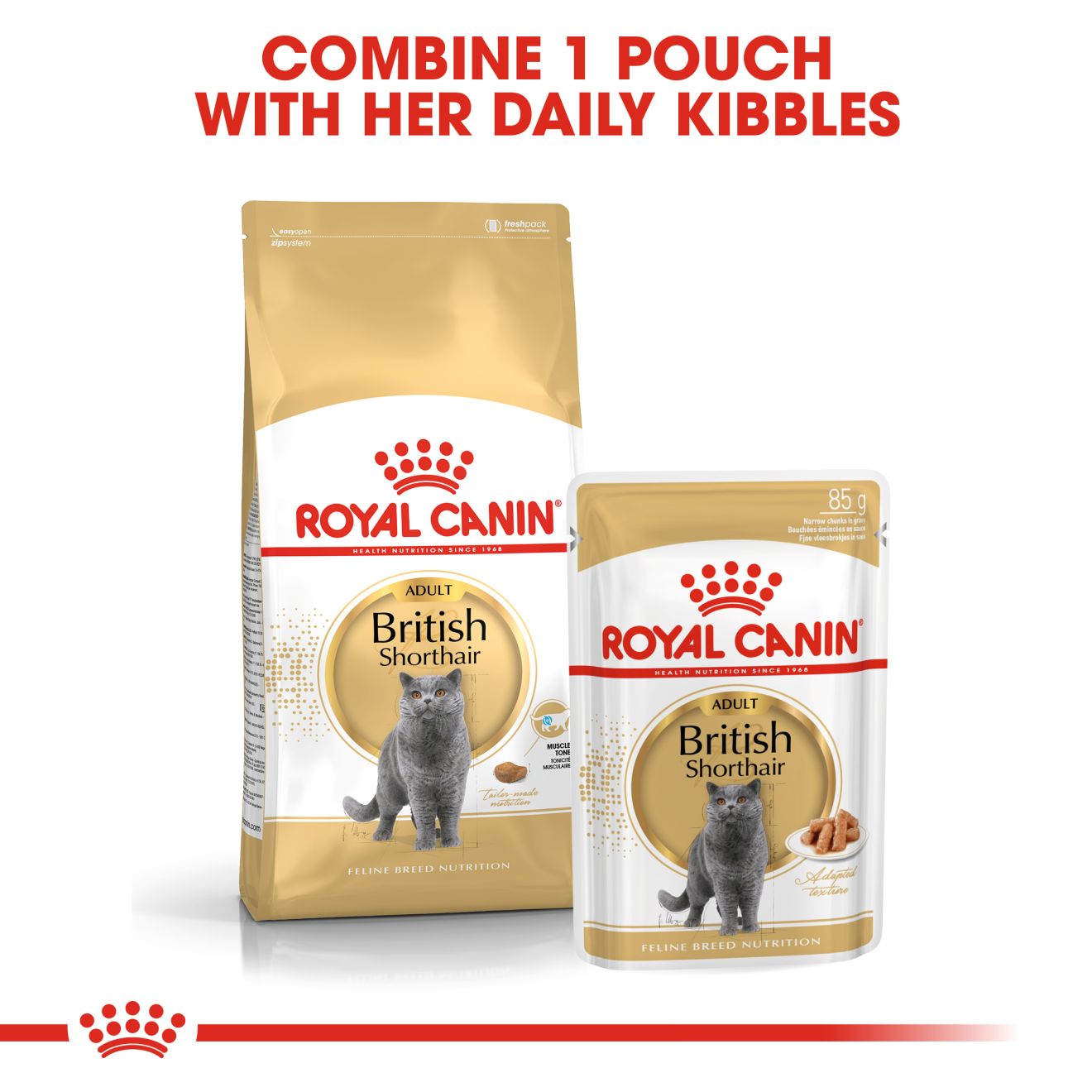 Royal Canin British Shorthair Adult Pouch Cat Food 85g x 12