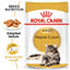 Royal Canin Feline Maine Coon Adult Pouch Cat Food 85g x 12