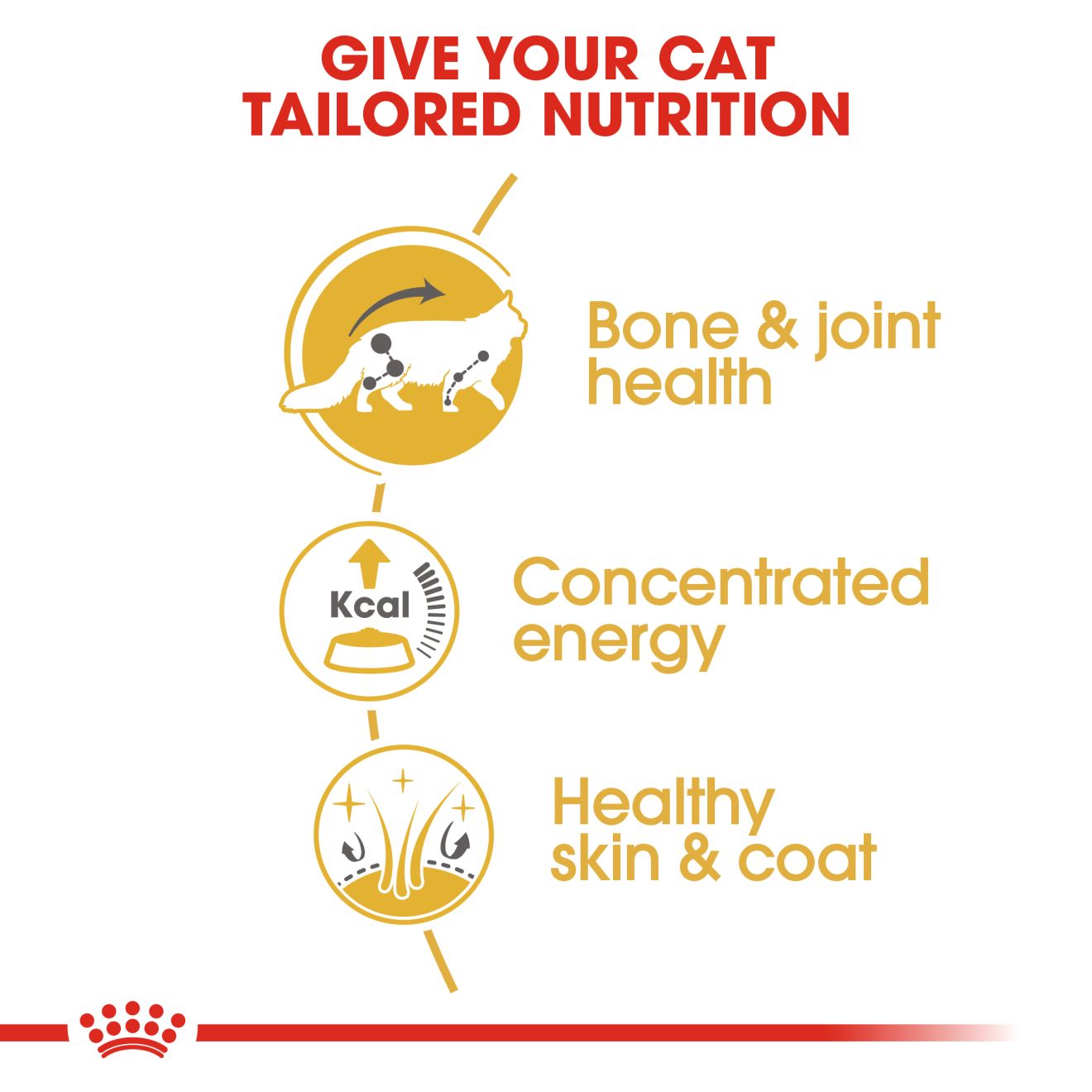 Royal Canin Feline Maine Coon Adult Pouch Cat Food 85g x 12
