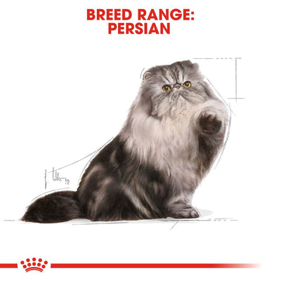 Royal Canin Nutrition Persian Adult Pouch Cat Food 85g x 12