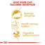 Royal Canin Nutrition Persian Adult Pouch Cat Food 85g x 12
