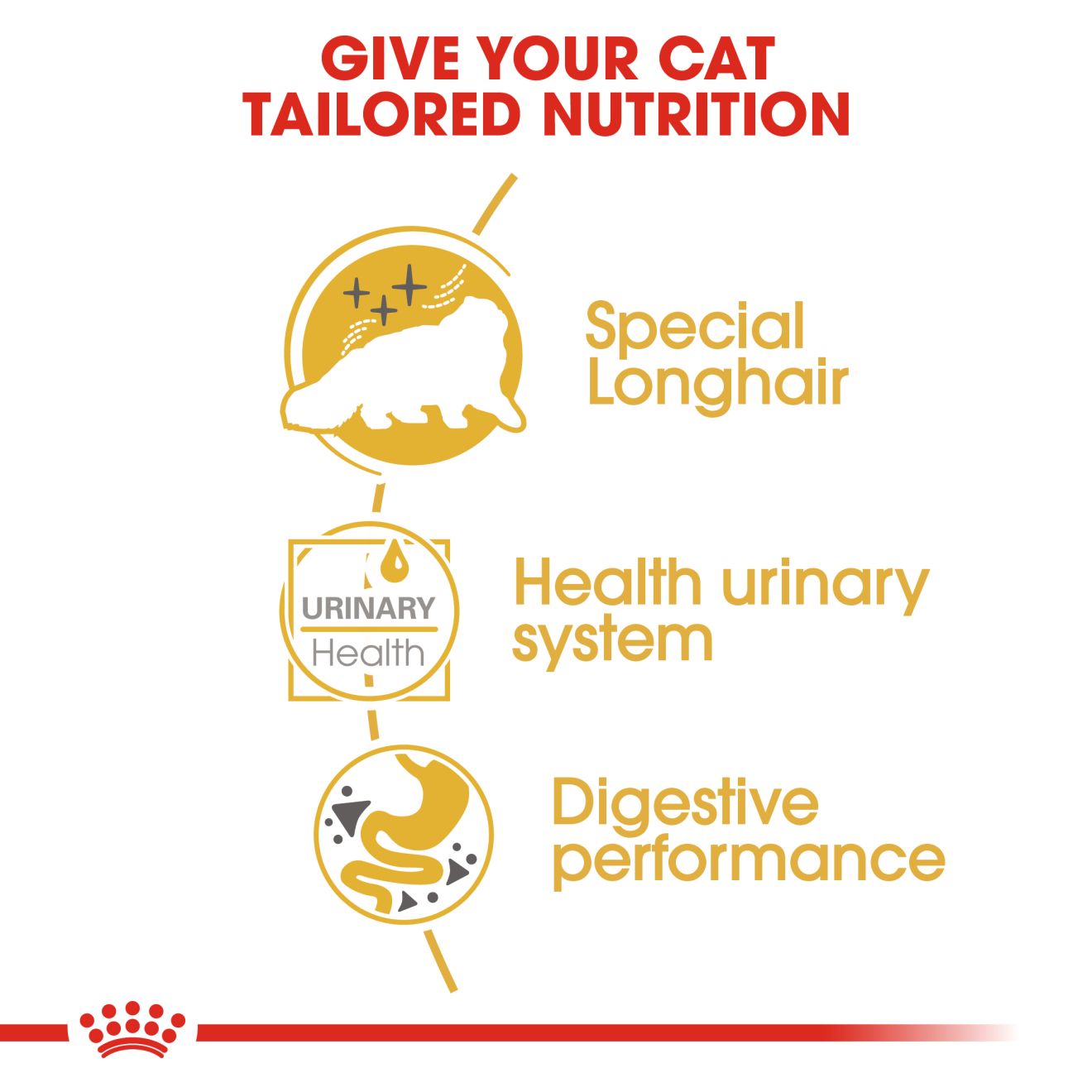 Royal Canin Nutrition Persian Adult Pouch Cat Food 85g x 12