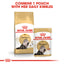 Royal Canin Nutrition Persian Adult Pouch Cat Food 85g x 12