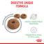 Royal Canin Nutrition Digestive Care Dry Cat Food 10kg