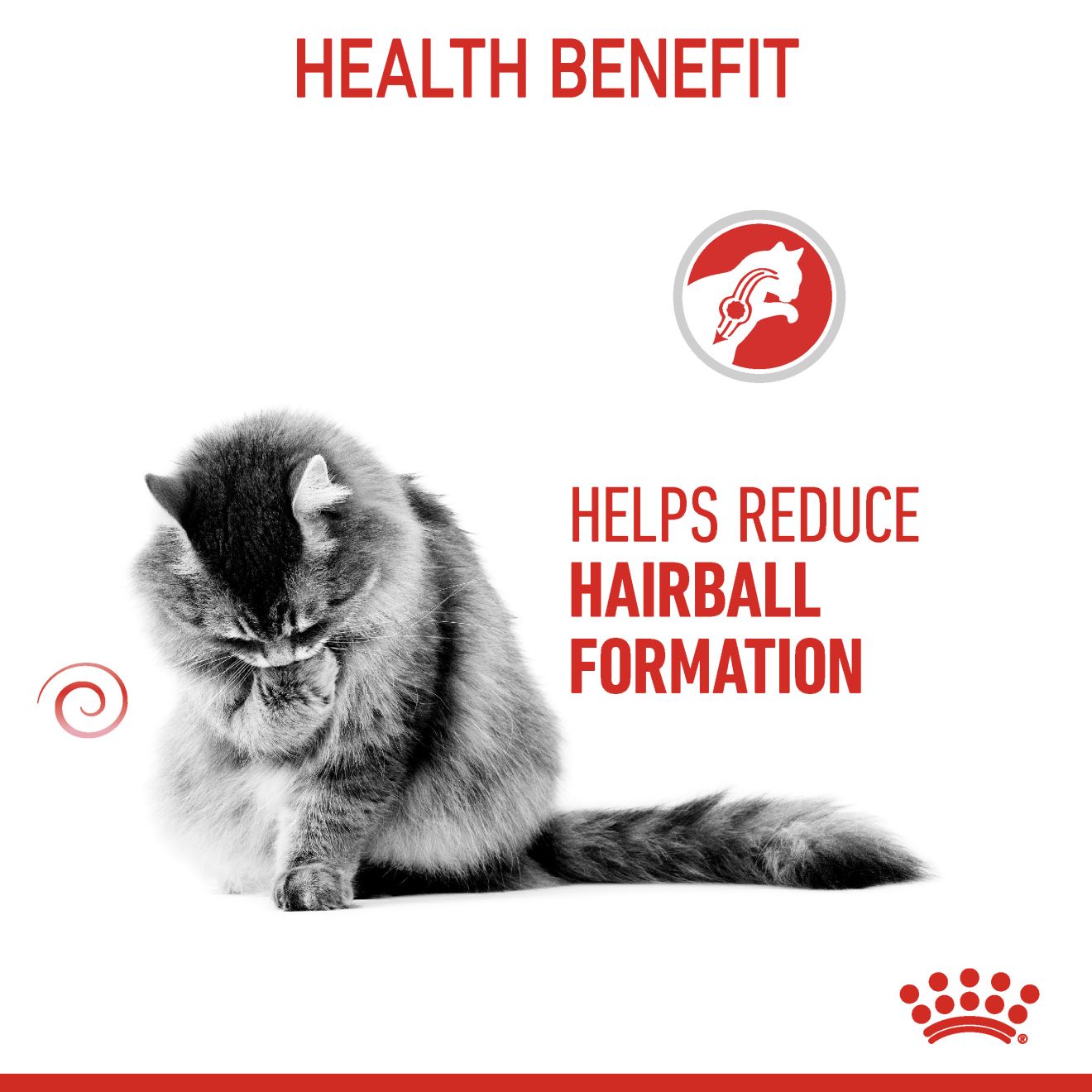 Royal Canin Feline Nutrition Hairball Care Dry Cat Food 400g & 2kg