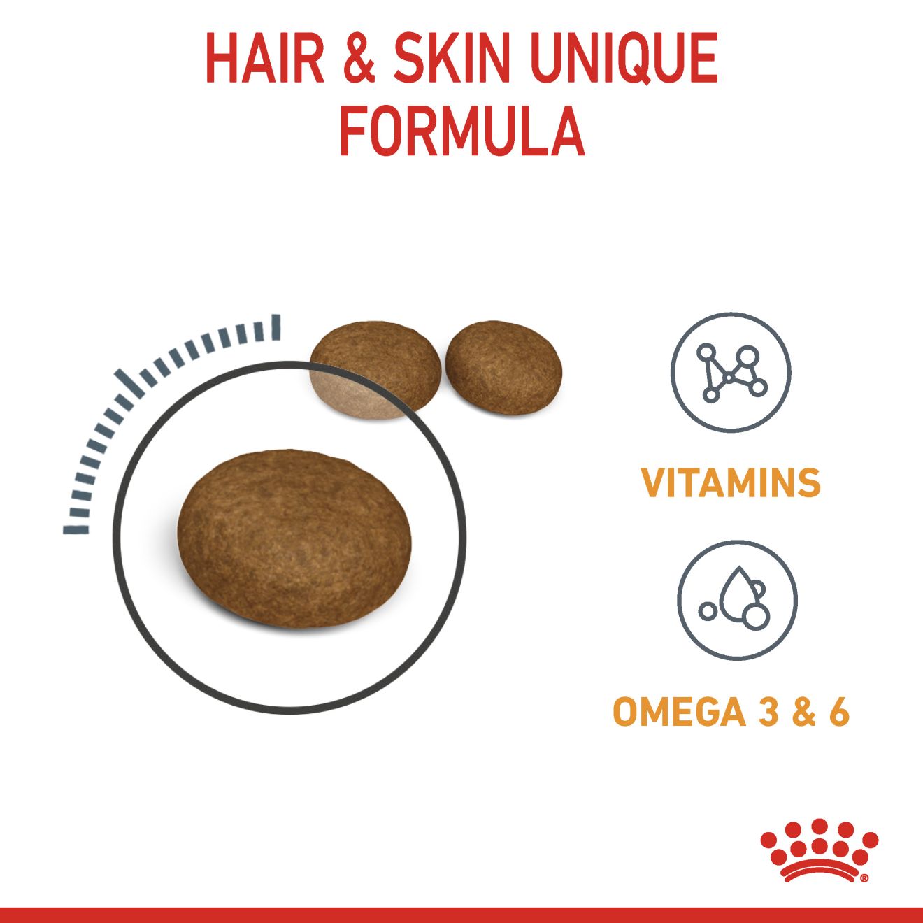 Royal Canin Nutrition Hair & Skin Care Dry Cat Food 4kg & 10kg
