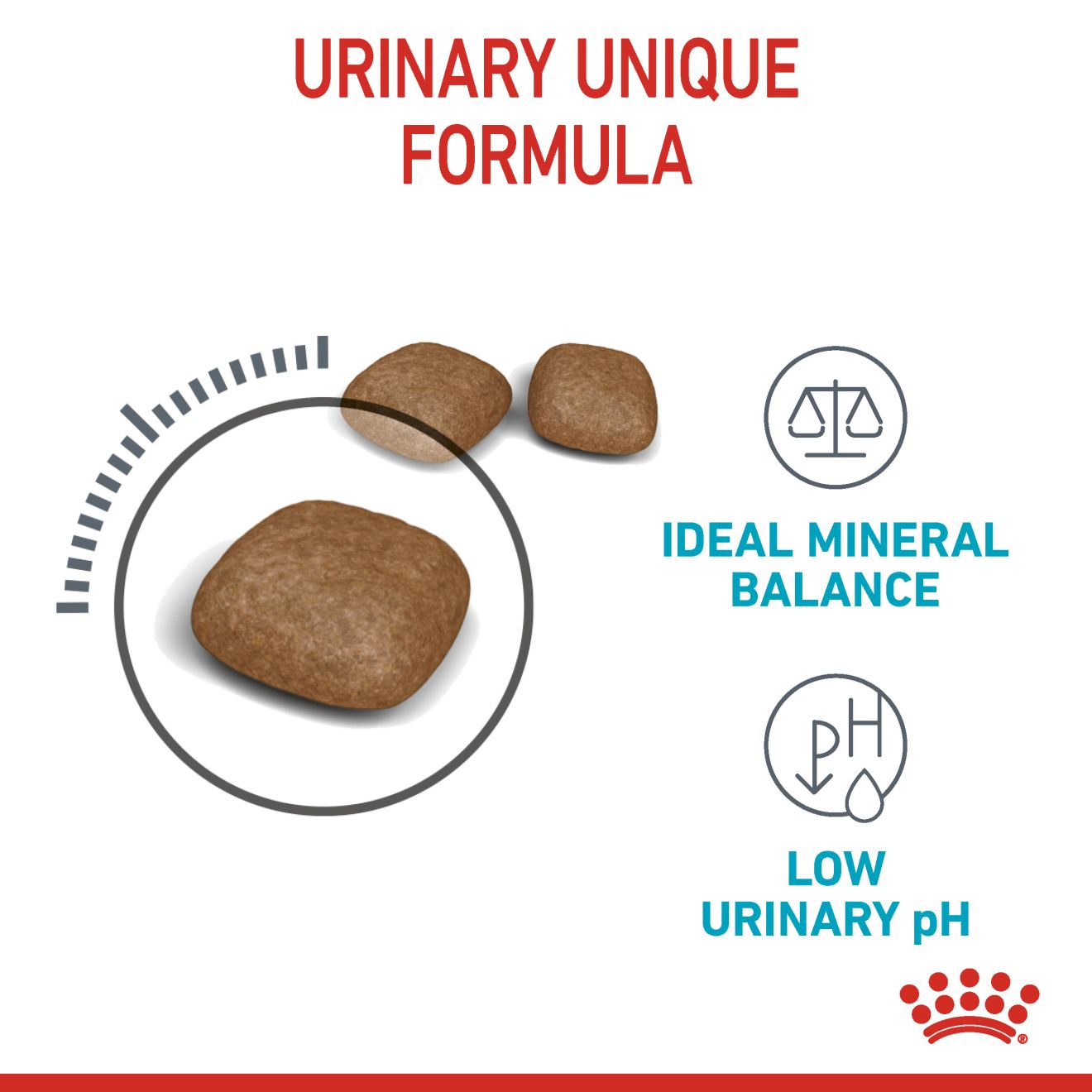 Royal Canin Feline Nutrition Urinary Care Dry Cat Food 400g & 2kg
