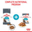 Royal Canin Feline Nutrition Urinary Care Dry Cat Food 4kg & 10kg