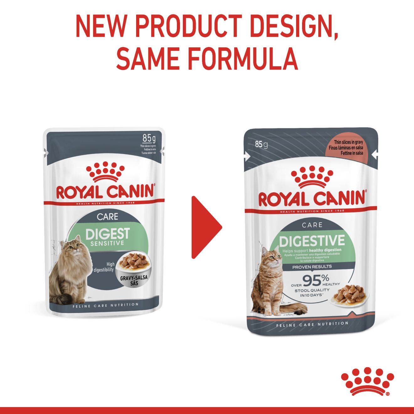 Royal Canin Feline Nutrition Digestive Care Adult Pouch Cat Food 85g x12