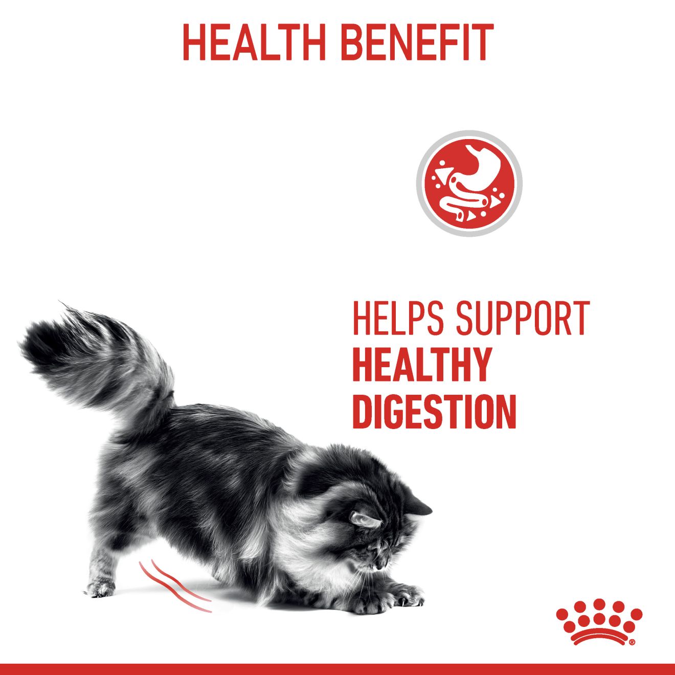 Royal Canin Feline Nutrition Digestive Care Adult Pouch Cat Food 85g x12