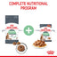 Royal Canin Feline Nutrition Digestive Care Adult Pouch Cat Food 85g x12