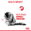 Royal Canin Feline Nutrition Hairball Adult Pouch Cat Food 85g x 12