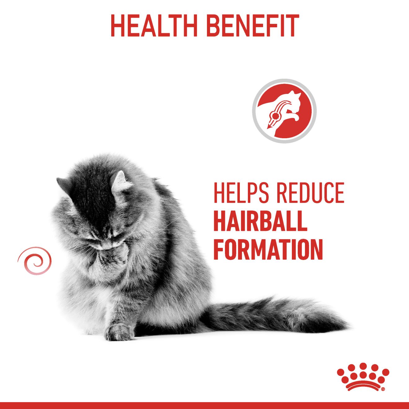 Royal Canin Feline Nutrition Hairball Adult Pouch Cat Food 85g x 12