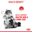 Royal Canin Feline Nutrition Hair & Skin Adult Pouch Cat Food 85g x12