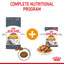 Royal Canin Feline Nutrition Hair & Skin Adult Pouch Cat Food 85g x12