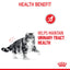 Royal Canin Feline Nutrition Urinary Adult Pouch Cat Food 85g x 12