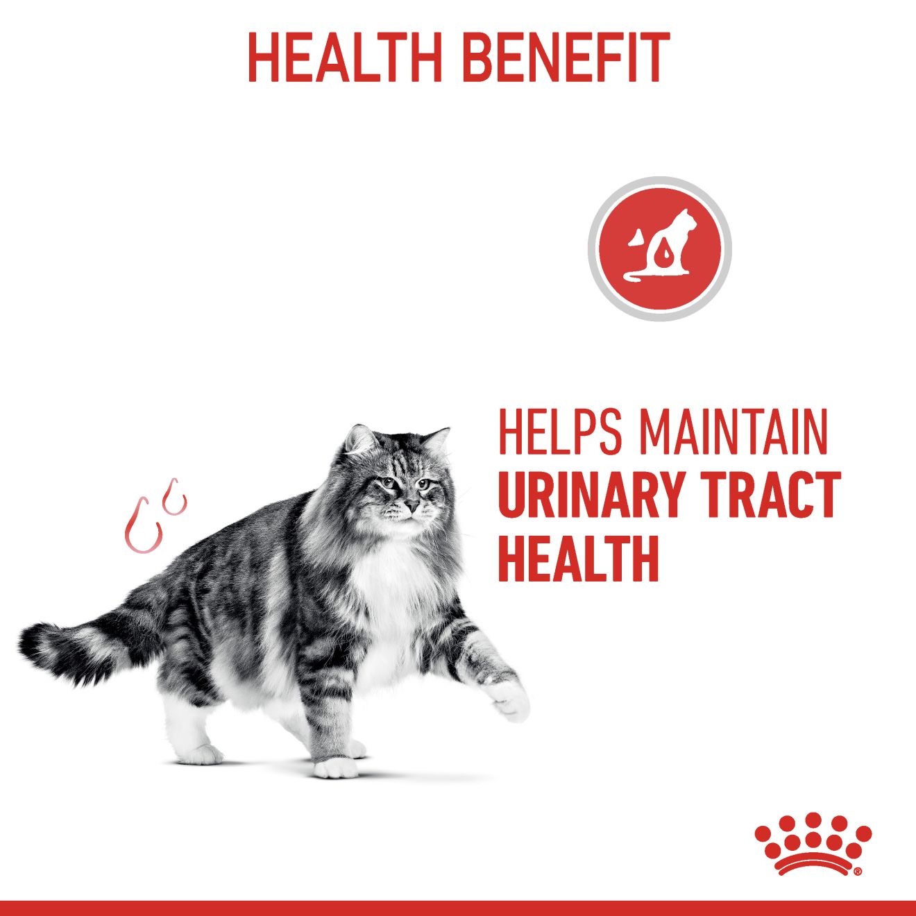 Royal Canin Feline Nutrition Urinary Adult Pouch Cat Food 85g x 12
