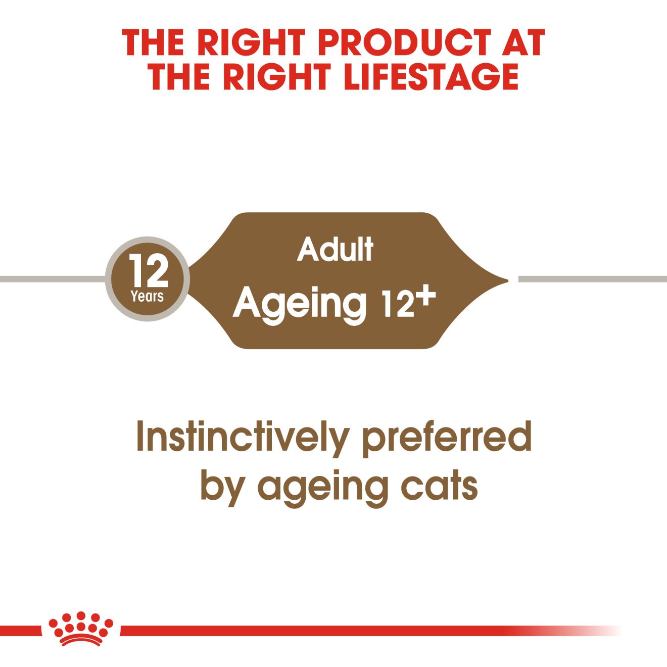 Royal Canin Feline Nutrition Ageing 12+ Senior Pouch Cat Food 85g x12