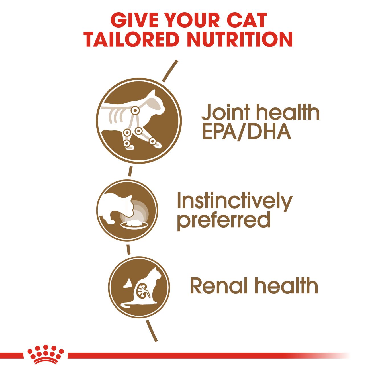 Royal Canin Feline Nutrition Ageing 12+ Senior Pouch Cat Food 85g x12