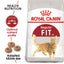 Royal Canin Health Nutrition Fit 32 Dry Cat Food (2kg,4kg & 10kg)