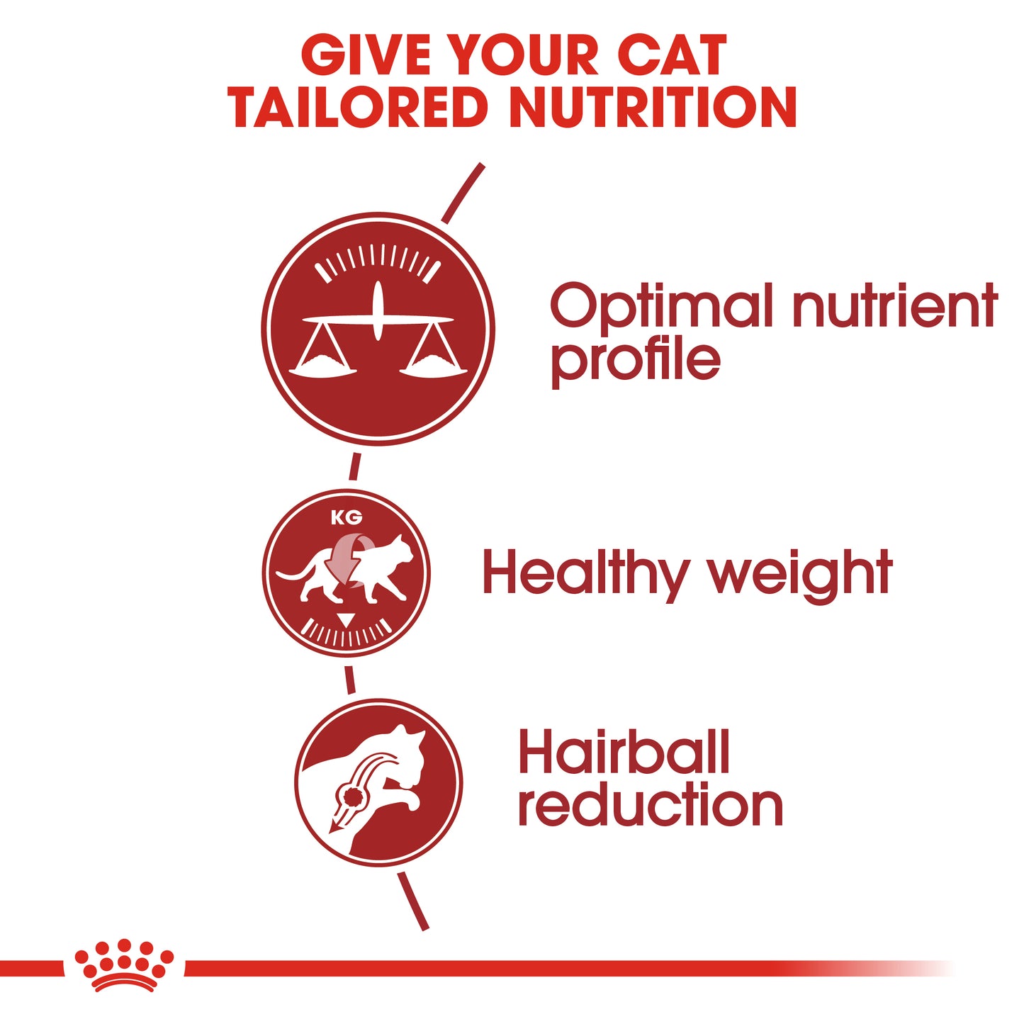 Royal Canin Health Nutrition Fit 32 Dry Cat Food (2kg,4kg & 10kg)