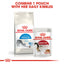 Royal Canin Feline Health Nutrition Indoor 27 Dry Cat Food 4kg & 10kg